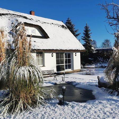 Reetferienhaus - Schaprode Hafen Zewnętrze zdjęcie