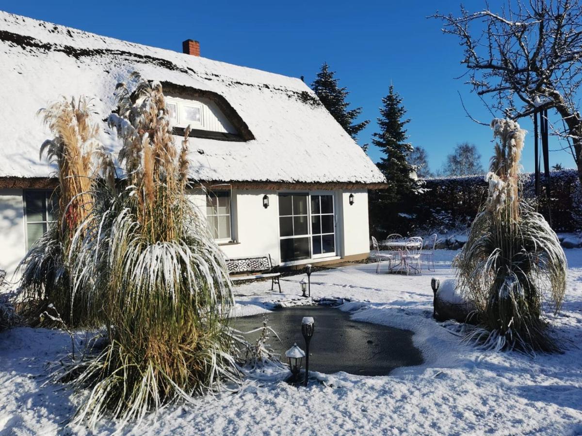 Reetferienhaus - Schaprode Hafen Zewnętrze zdjęcie