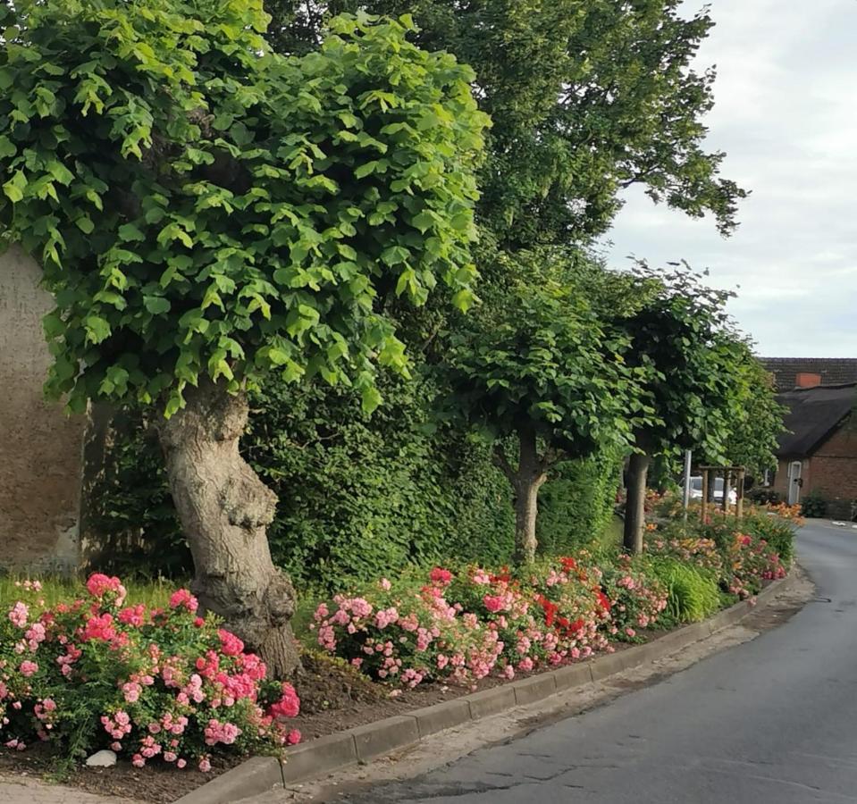 Reetferienhaus - Schaprode Hafen Zewnętrze zdjęcie